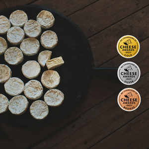 Medals awarded at the 2023 NZ Cheese Awards!