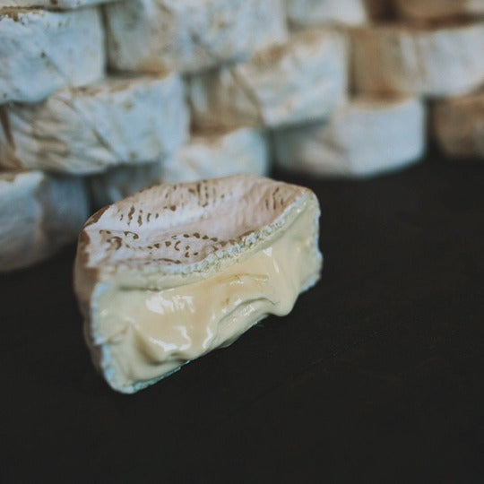 Lindis Pass Camembert - SHORTDATED